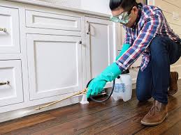 Best Residential Pest Control  in Union City, OK